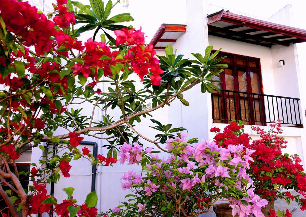 Villa Oak Residencies Kiribathgoda Esterno foto
