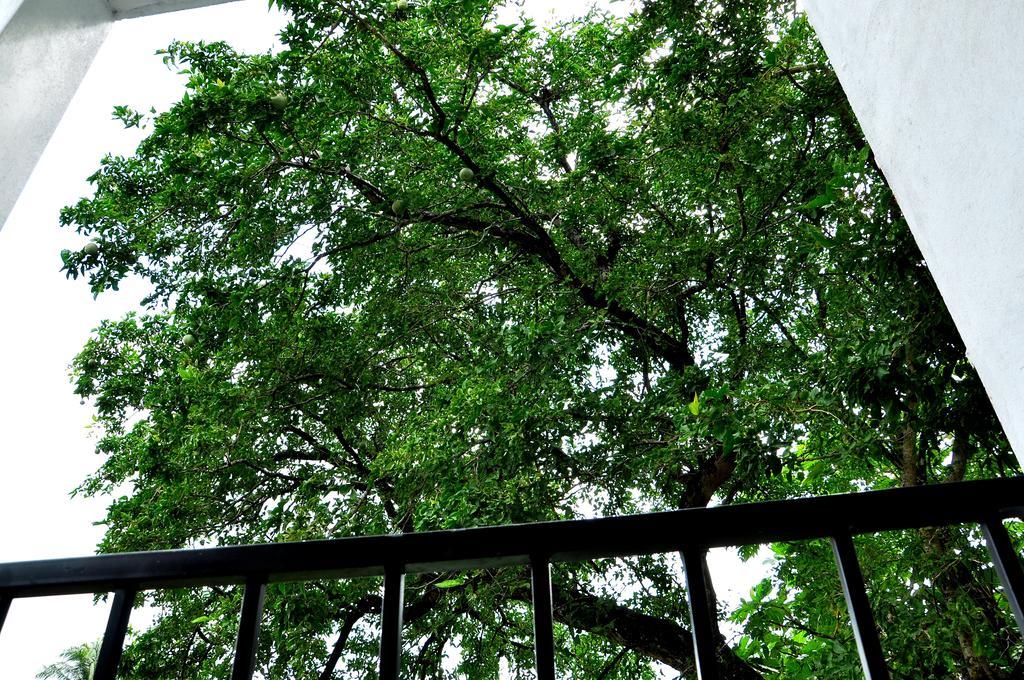 Villa Oak Residencies Kiribathgoda Esterno foto